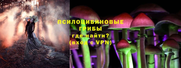 дживик Абинск