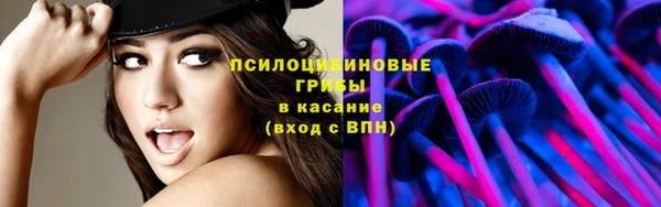 тгк Алзамай