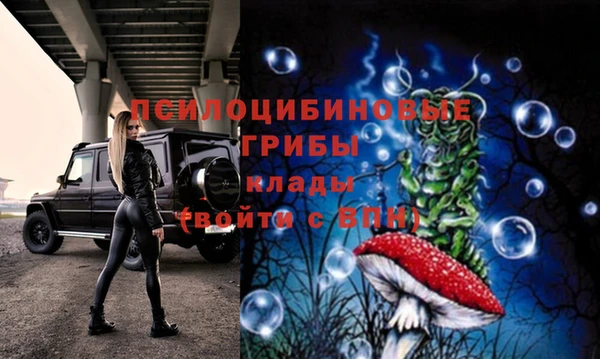 дживик Абинск