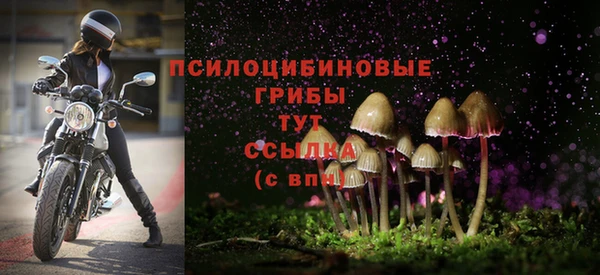 дживик Абинск