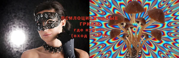 дживик Абинск